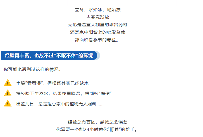 立冬至,智慧守護正當時!雷弗云生態,開啟智慧種植新時代 立冬至,智慧守護正當時!雷弗云生態,開啟智慧種植新時代