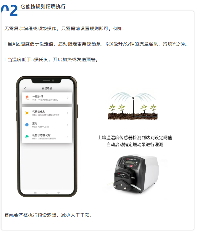 立冬至,智慧守護正當時!雷弗云生態,開啟智慧種植新時代 立冬至,智慧守護正當時!雷弗云生態,開啟智慧種植新時代