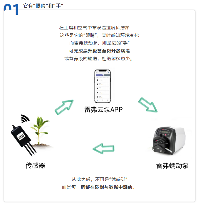 立冬至,智慧守護正當時!雷弗云生態,開啟智慧種植新時代 立冬至,智慧守護正當時!雷弗云生態,開啟智慧種植新時代