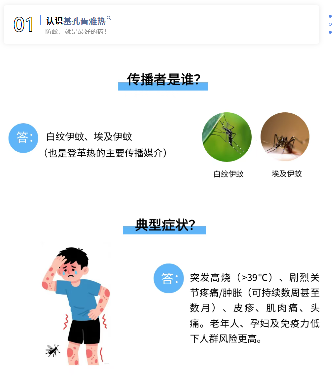基孔肯雅热检测背后，原来有这些“隐形守护者”