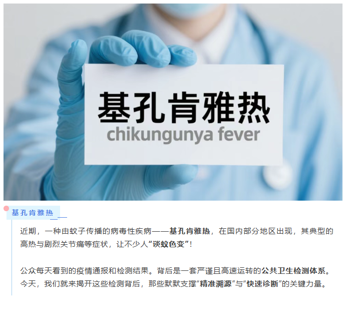 基孔肯雅热检测背后，原来有这些“隐形守护者”