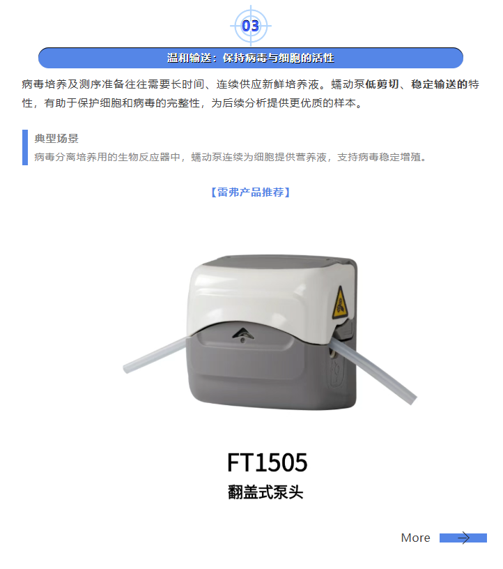 基孔肯雅热检测背后，原来有这些“隐形守护者”