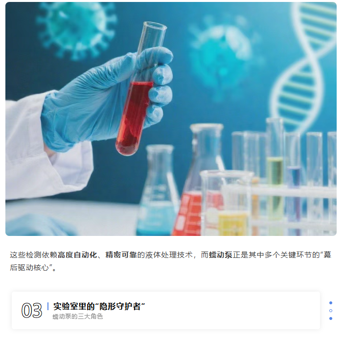 基孔肯雅热检测背后，原来有这些“隐形守护者”