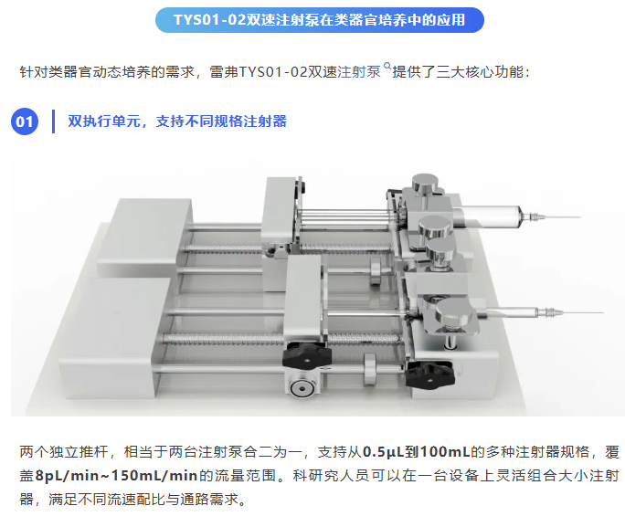 科研效率升级|雷弗双速注射泵赋能类器官动态培养！