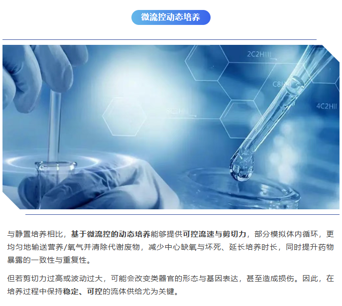 科研效率升级|雷弗双速注射泵赋能类器官动态培养！