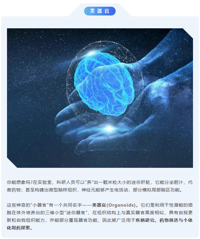 科研效率升级|雷弗双速注射泵赋能类器官动态培养！